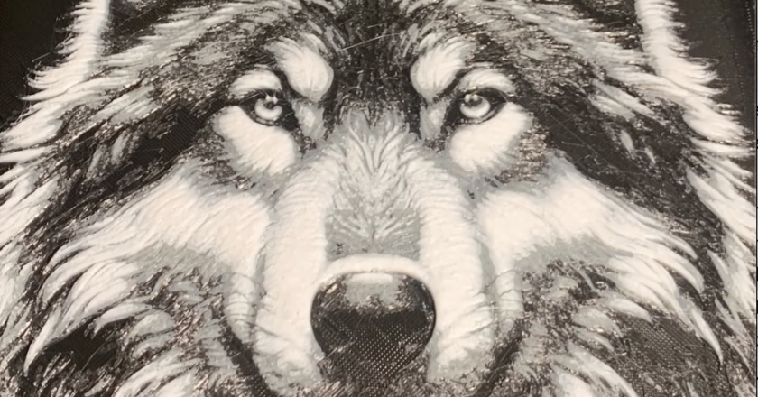 Beautiful Wolf 3D Hueforge
